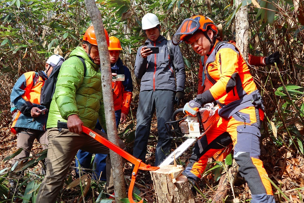 広葉樹のまちづくり学校①広葉樹林施業実践講座開講のお知らせ 岐阜県飛騨市広葉樹のまちづくり 飛騨の森を君とつむぐ